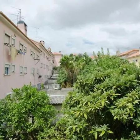 Well Located Apartment,